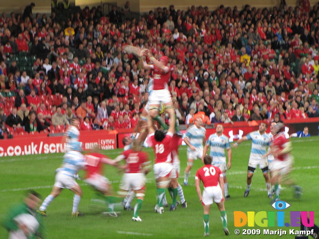 SX10833 Line out rugby Wales vs Argentina Millennium Stadium Cardiff